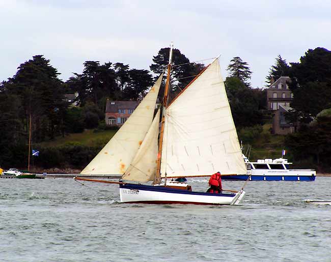 Cotre aurique